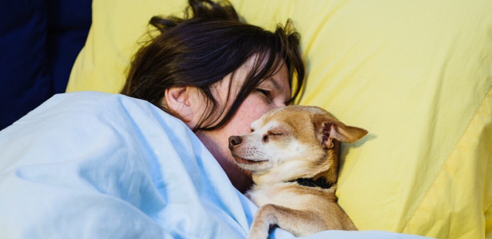 Sleeping with pets: studies reveal emotional benefits, but also risks | 2 | Dormir con mascotas: estudios revelan beneficios emocionales, pero también riesgos
