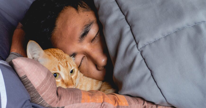 Sleeping with pets: studies reveal emotional benefits, but also risks | 3 | Sleeping with pets: studies reveal emotional benefits, but also risks | De Último Minuto English