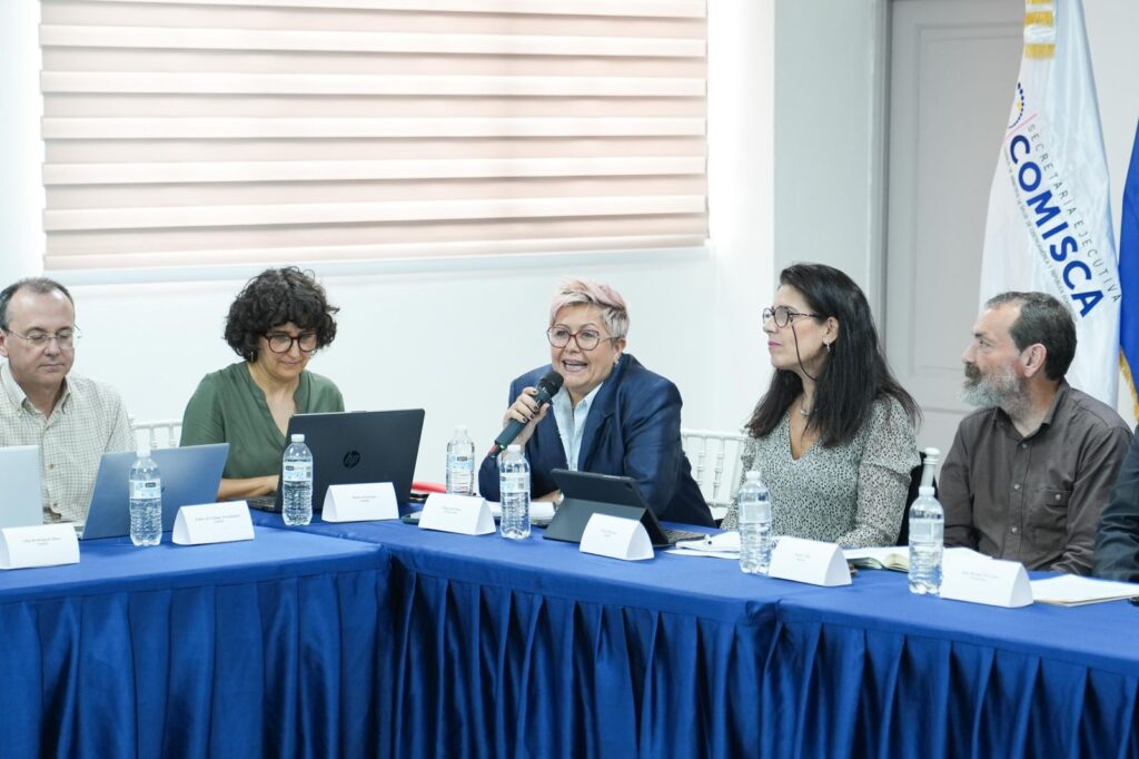 SICA countries promote joint evaluation of biotechnological and biosimilar medicines | De Último Minuto English