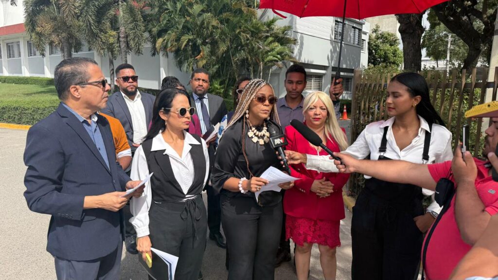 Citizens and organizations intervene before the Constitutional Court in defense of the Penal Code | 2 | Citizens and organizations intervene before the Constitutional Court in defense of the Penal Code | De Último Minuto English