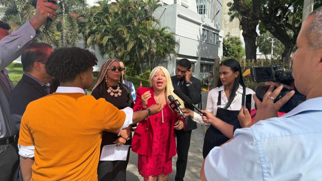 Citizens and organizations intervene before the Constitutional Court in defense of the Penal Code | 3 | Citizens and organizations intervene before the Constitutional Court in defense of the Penal Code | De Último Minuto English