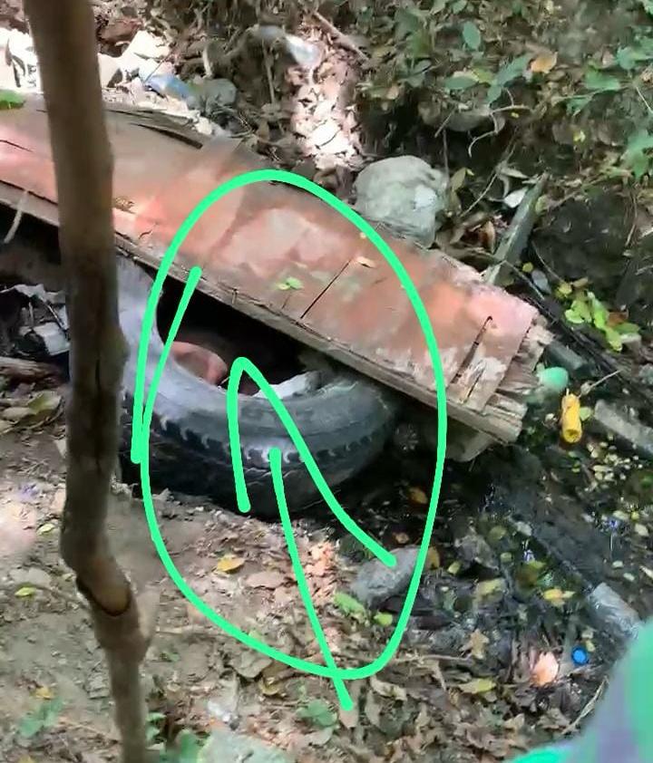 Woman found dead in a ravine in Santiago; possible femicide under investigation | 2 | Woman found dead in a ravine in Santiago; possible femicide under investigation | De Último Minuto English
