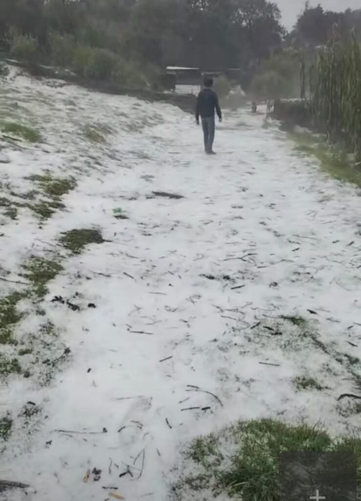 ¿Snow in Guatemala? Heavy hailstorm surprises the western region of the country | De Último Minuto English
