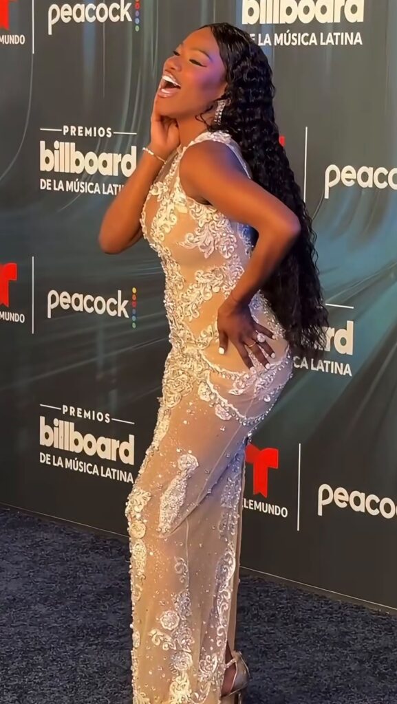 Dominicans shine on the night of the Billboard Awards | De Último Minuto English
